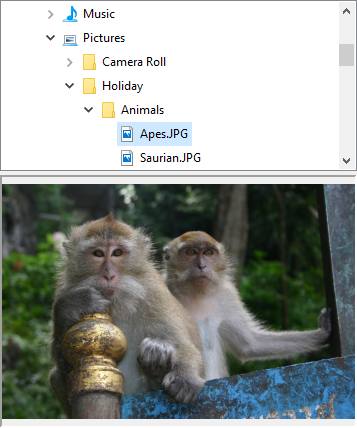 Screenshot jamthumbnailimage