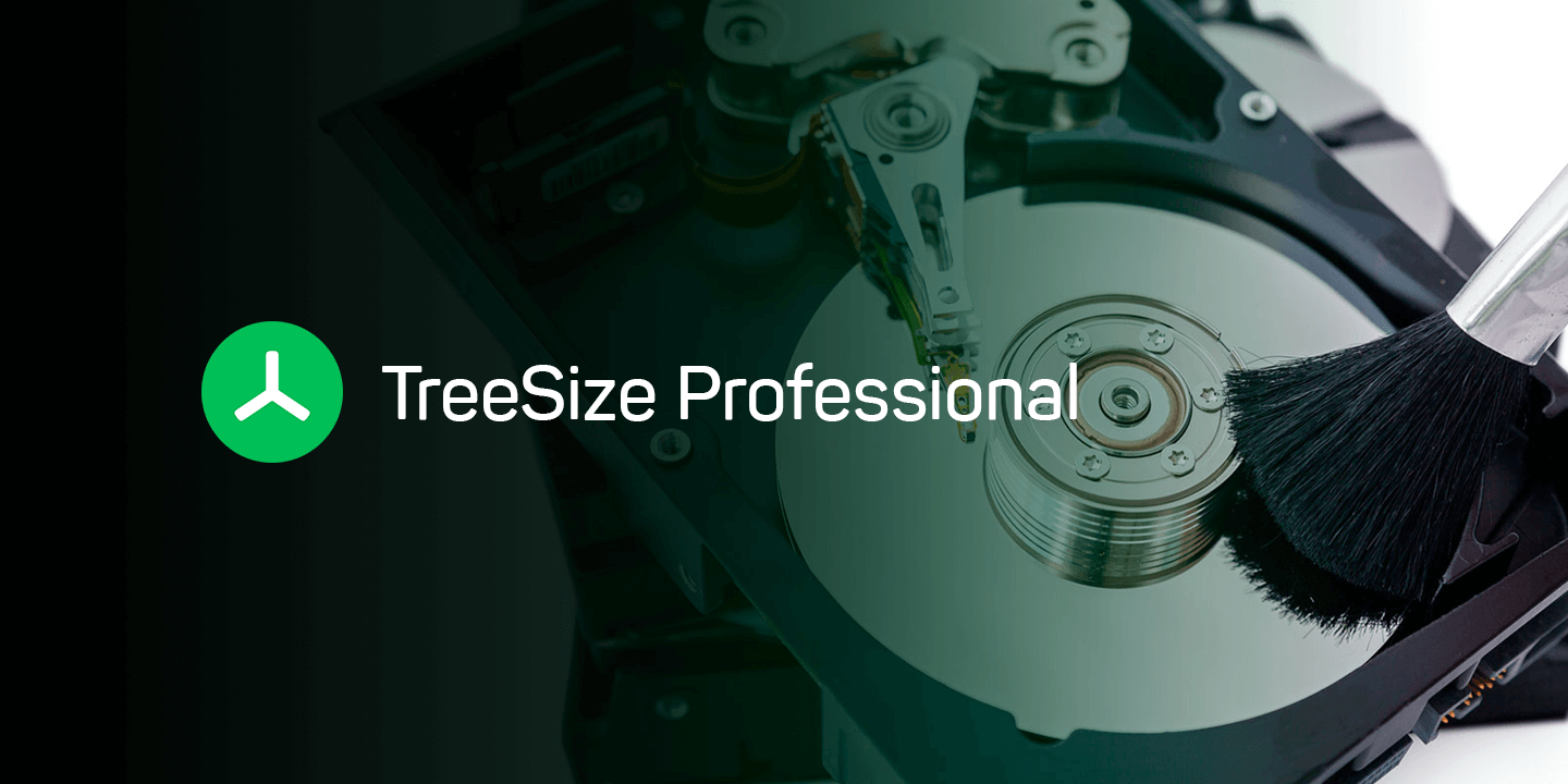 TreeSize Professional Duplicate Search